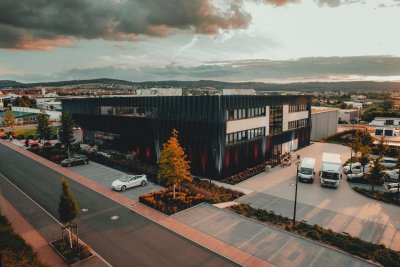 Hoe bieden taxus- en ligusterhagen privacy en beveiliging voor bedrijfspercelen?